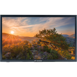 Telewizor z płaskim ekranem TFT LED DVD z serii Caratec Vision Pro