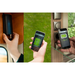 Pakiet startowy Podstawowy