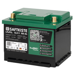 Saftkiste Akumulator LiFePO4 100 Ah