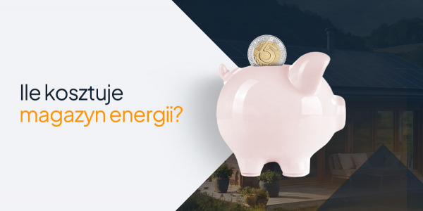Ile kosztuje magazyn energii?
