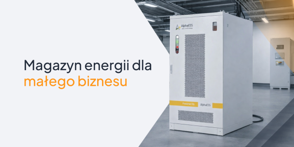 AlphaESS STORION H30/H50-G3 - Magazyn energii dla małych firm